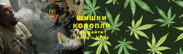 сатива Абдулино