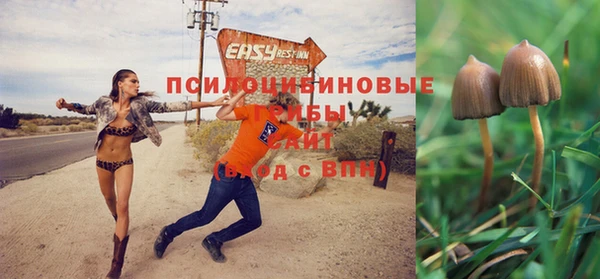 шишки Алексеевка